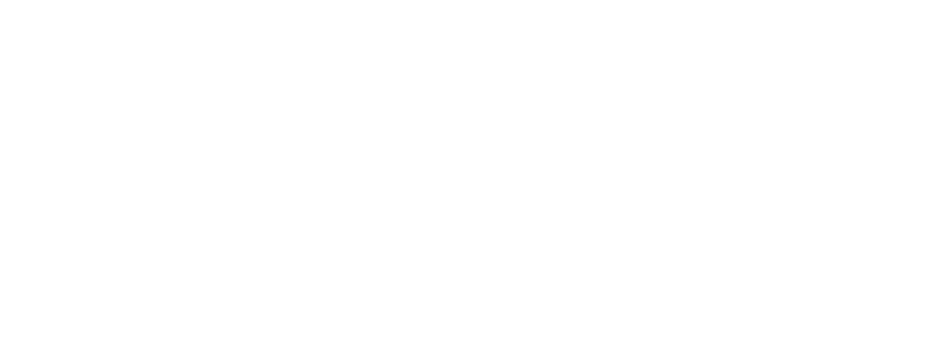 Wings to the Future